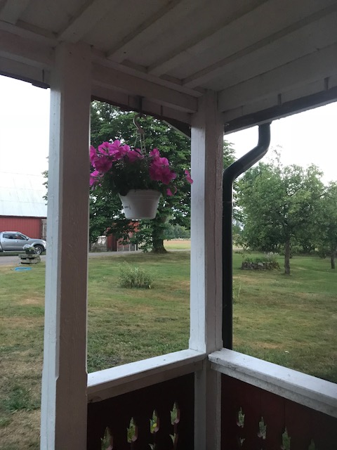 Vyn från verandan juli 2018.png
